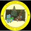 SOUTH DAKOTA PIN STATE EMBLEM SOUTH DAKOTA PIN